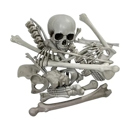 Mourncrest Skeleton, studio packshot on white