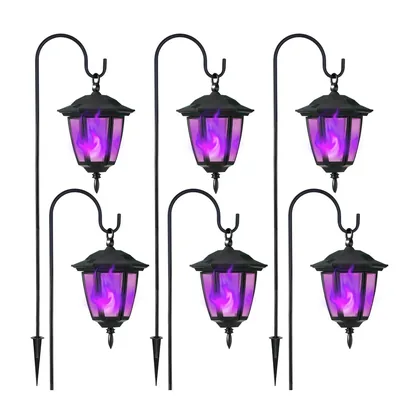Palefire Flame Light, 6 pack, studio packshot on white