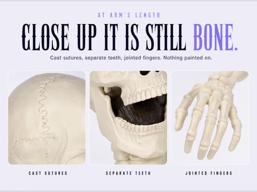 Three studio macro crops on white: the skull's cranial sutures, the teeth at the open jaw, and the finger joints.