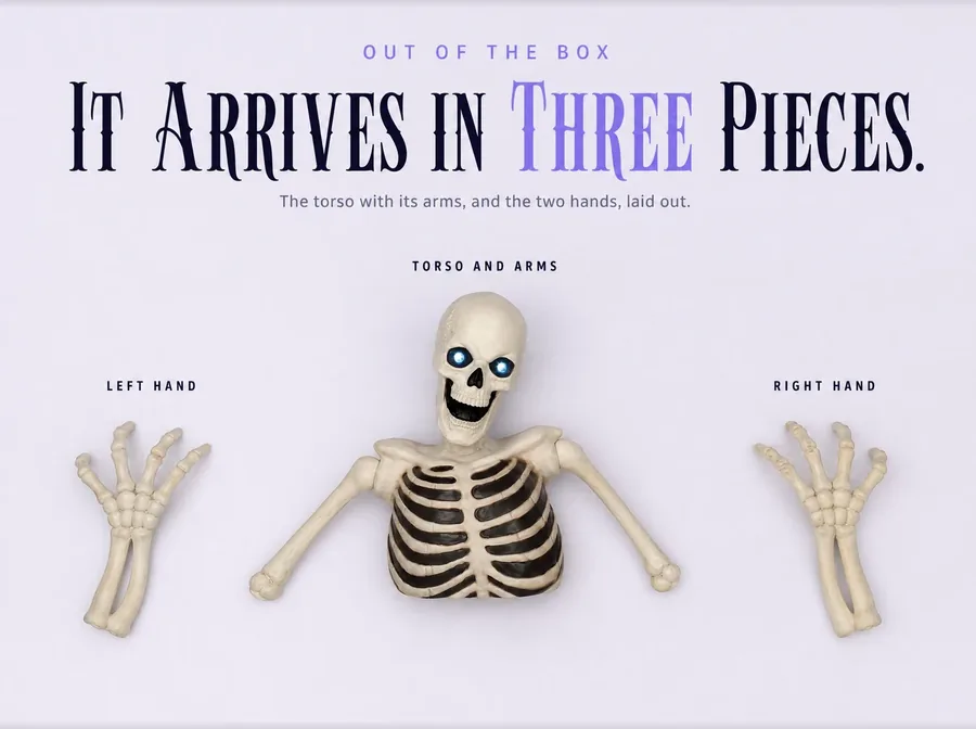 Flat-lay on white: the groundbreaker's torso with its arms in the centre and one separate bony hand on each side.