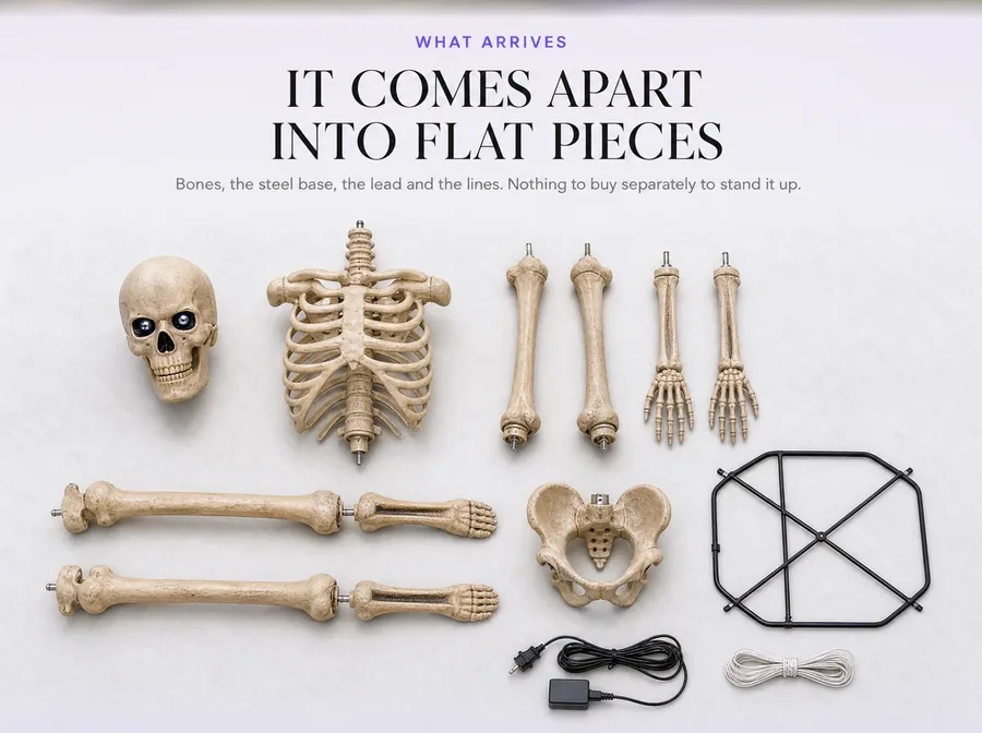 It comes apart into flat pieces: bones, the steel base, the lead and the lines