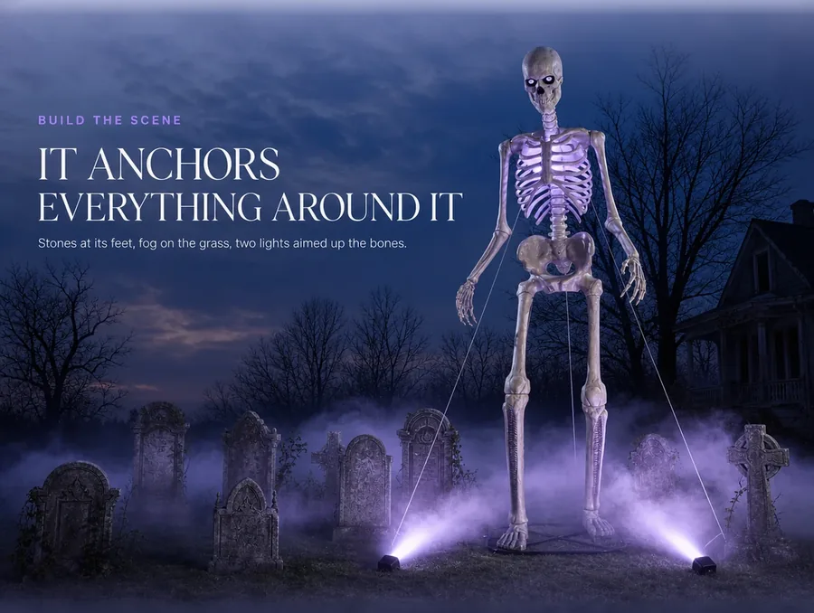 It anchors everything around it: stones at its feet, fog on the grass, lights up the bones
