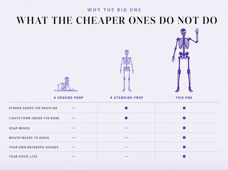 What the cheaper ones do not do: head, mouth, your own recorded sounds, your voice live